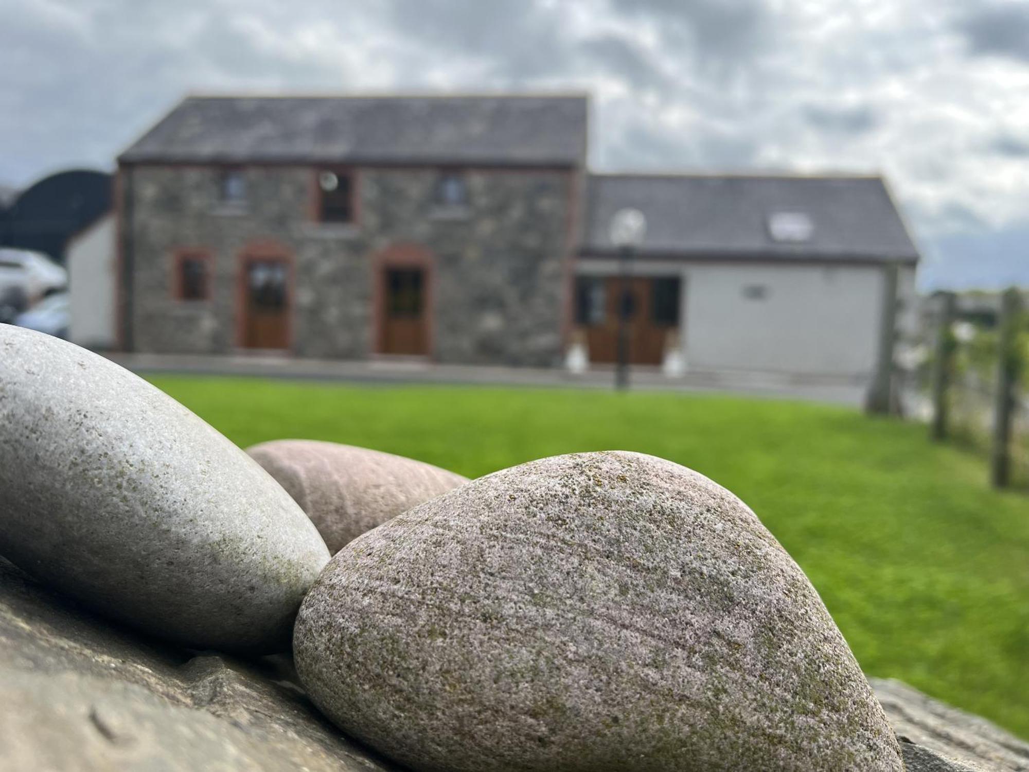 Avoca Lodge Lisburn Exteriér fotografie